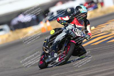 media/Jan-14-2024-SoCal Trackdays (Sun) [[2e55ec21a6]]/Turn 16 Set 2 (1125am)/